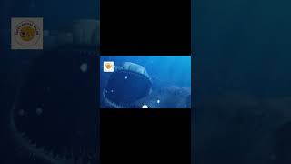 Terrifying Shark Attack Caught on Camera  Shocking Footage SharkAttacks shorts SuperAnimalValor [upl. by Ydurt]