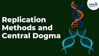 MESELSONSTAHL EXPERIMENT  dna recombination   BY PHANINDRA GUPTHA [upl. by Llener486]