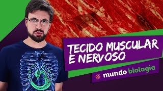 🧫 Histologia 33 Tecido Muscular e Nervoso  Biologia  ENEM [upl. by Nelyak903]