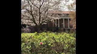 Abandoned Places Central State Mental Asylum in Milledgeville GA Part 2 [upl. by Tteltrab]