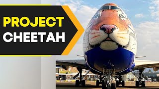 What is Project Cheetah and how is it significant to India  WION Originals [upl. by Emili]