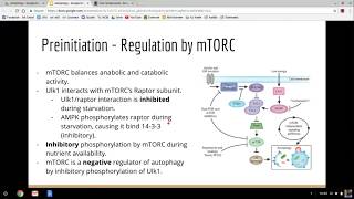 Autophagy Lecture [upl. by Annawat242]