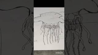 Colony of physalia। Physalia diagram। shorts shortvideo physaliazoology। [upl. by Gish]