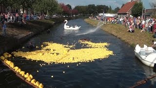 Badeenden Race Raalte tbv Hospice [upl. by Dedra]