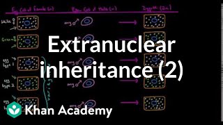 Extranuclear inheritance 2  Biomolecules  MCAT  Khan Academy [upl. by Ginder]