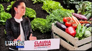 Claudia Sheinbaum anuncia “alimentación para el bienestar” con la fusión de Diconsa y Segalmex [upl. by Anaujnas705]