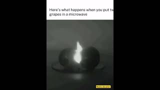 Microwave 💥against grapes 😲💥ytshorts viralvideo physics science [upl. by Annez10]