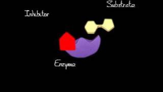 noncompetitive inhibition [upl. by Anesor]