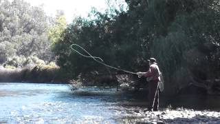 Tumut River Trout [upl. by Annaeel]