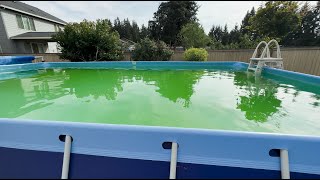 How to Get Algae Out of Your Pool  the SLAM Process [upl. by Marrin]