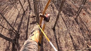 Longbow Deer Hunting 2023  Kentucky Public Land [upl. by Yelrahc]