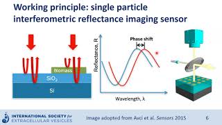 Single particle interferometric reflectance imaging sensor to characterize extracellular vesicles [upl. by Quackenbush99]