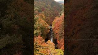 Garry Bridge Perthshire Scotland 🏴󠁧󠁢󠁳󠁣󠁴󠁿 scotland visitscotland [upl. by Nevs]