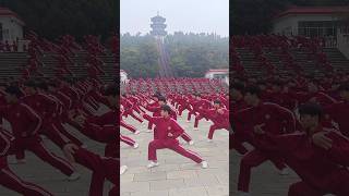 1000 Shaolin Students Unite The Unbroken Spirit of Resilience [upl. by Hazelton37]