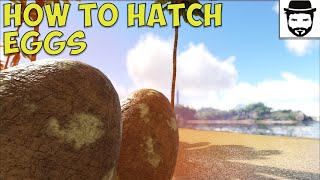 How To Hatch Eggs Ark Survival Evolved [upl. by Erskine]