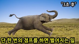 평생 점프를 하지 못하는 코끼리가 일생에 단 한 번 점프를 하면 벌어지는 일 [upl. by Adihsaar]