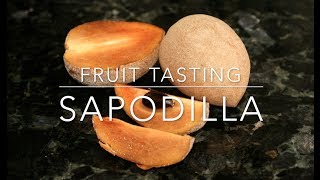 Alano Sapodilla Tasting  Florida Grown Tropical Fruit [upl. by Rudiger]