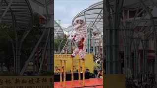 2024 Kweichow Moutai Cup Singapore Lion Dance [upl. by Linder264]