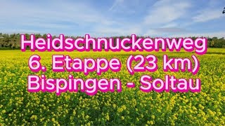 Heidschnuckenweg 6 Etappe 23 km Bispingen  Soltau [upl. by Sayed901]