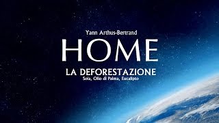 HOME  La Deforestazione Soia Olio di Palma Eucalipto  HD [upl. by Sioux208]