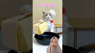 Masak mentega cat whatshouldpuffdo funny cute spuffy cake huffandpuff cooking chefpuff [upl. by Tellford]