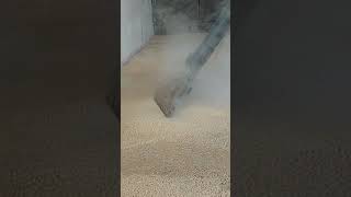 Carpet Steam Cleaning [upl. by Chelsie535]