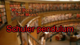 What does Schuler pendulum mean [upl. by Anam]