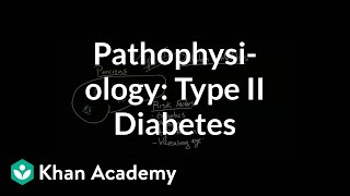 Pathophysiology  Type II diabetes  Endocrine system diseases  NCLEXRN  Khan Academy [upl. by Warwick32]