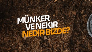 MÜNKER VE NEKİR NEDİR BİZDE [upl. by Saretta769]