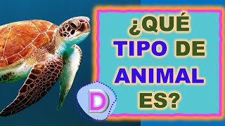 🐔🐸🐳 PREGUNTAS de ANIMALES mamífero ave reptil anfibio o pez  Cap 1 Animales vertebrados [upl. by Stormy]