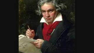 sinfonia no 3 eroica beethoven [upl. by Aynos]