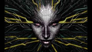 System Shock 2 OST System Shock 2 Credits [upl. by Omland208]