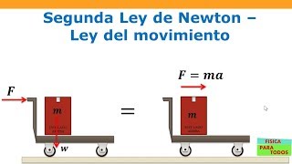 Segunda Ley de Newton  Las Leyes de Newton [upl. by Healy392]