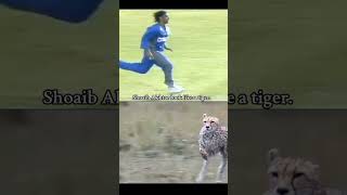 shoaib akhtar x chethah  foryou cricket shoaibakthar foryou vairalshort growmyaccount [upl. by Clercq781]