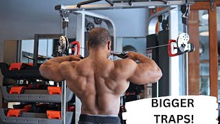 7 Best Exercises for BIGGER traps [upl. by Nnylsor]