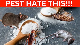 BAKING SODA Ultimate Pest Control For FLEAS MICE RATS COCKROACHES ANTS BEDBUGS CENTIPEDES [upl. by Breger993]