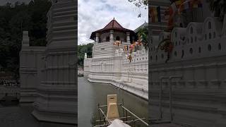 Dalada Maligawa Kandy kandy daladamaligawa shorts viralvideo srilankatravelvlog [upl. by Hausmann]