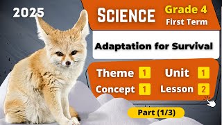 Types of Adaptations  Grade 4  Unit 1  Concept 1  Lesson 2  Part 13  Science [upl. by Ester]