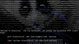 Slowloris Instalar y usarlo TANGO DOWN website in Kali LINUX [upl. by Alyks813]