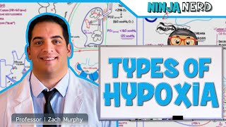 Respiratory  Types of Hypoxia Hypoxemic  Anemic  Stagnant  Histotoxic [upl. by Bruns]