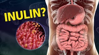 Why Your Gut Needs Inulin and How To Get It [upl. by Virginie]