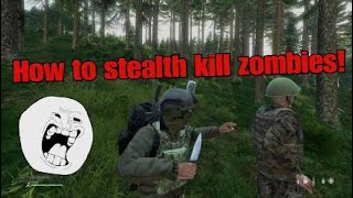 How to stealth kill zombies Dayz 123 [upl. by Rogers]