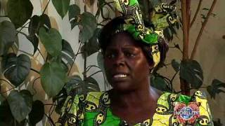 Wangari Maathai amp the Green Belt Movement [upl. by Adnarim]