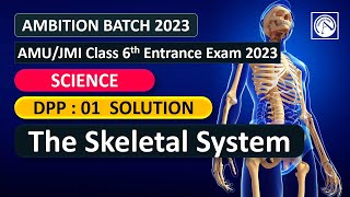 The Skeletal System  DPP Solution 01  AMUJMI Class 6th Entrance Exam 2023 [upl. by Aloin]