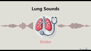 Lung Sounds Stridor [upl. by Evangelist157]