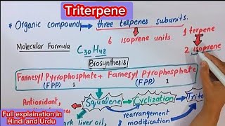 Triterpene biochemistry [upl. by Atinaw875]