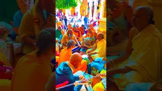 Prem Mandir Vrindavan shorts vrindavandham krishna [upl. by Razal119]