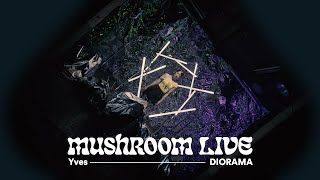 MUSHROOM LIVE S07 이브 Yves  DIORAMA [upl. by Anierdna]