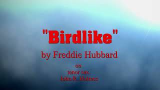 Birdlike on the 24th of October 2024 [upl. by Edelsten]