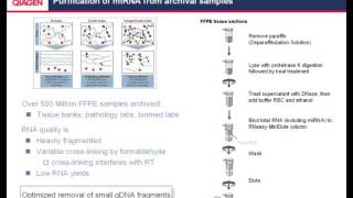 Profiling miRNA expression in cells FFPE samples and serum on the road to biomarker development [upl. by Art]